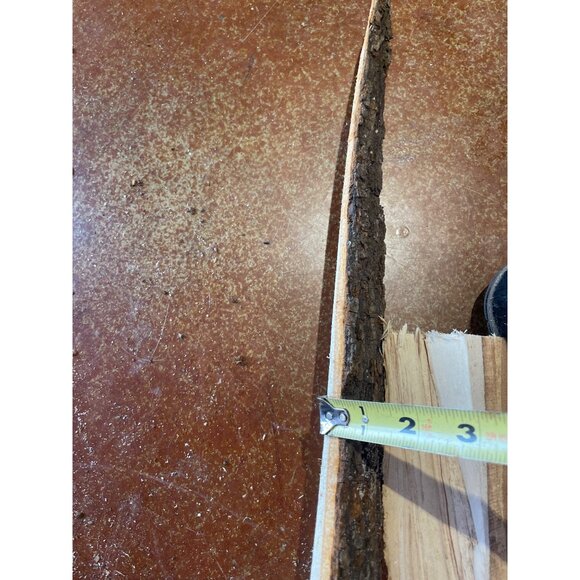 Basswood Rustic Bark Edge Wood Slabs For Crafts & DIY Projects - Picture 5 of 11